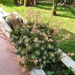 Mimmo Villa