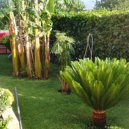 Villa Mimmo *