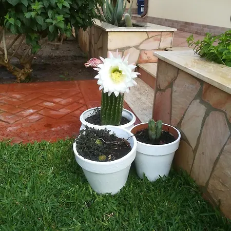 ヴィラ Mimmo ラスカリ