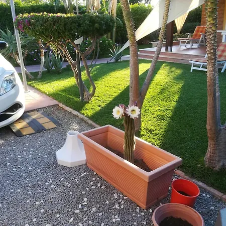 Mimmo * ラスカリ